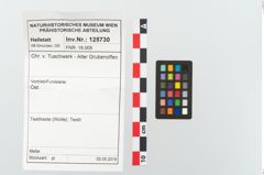Foto von Textil (NHMW-PRAE-125730)